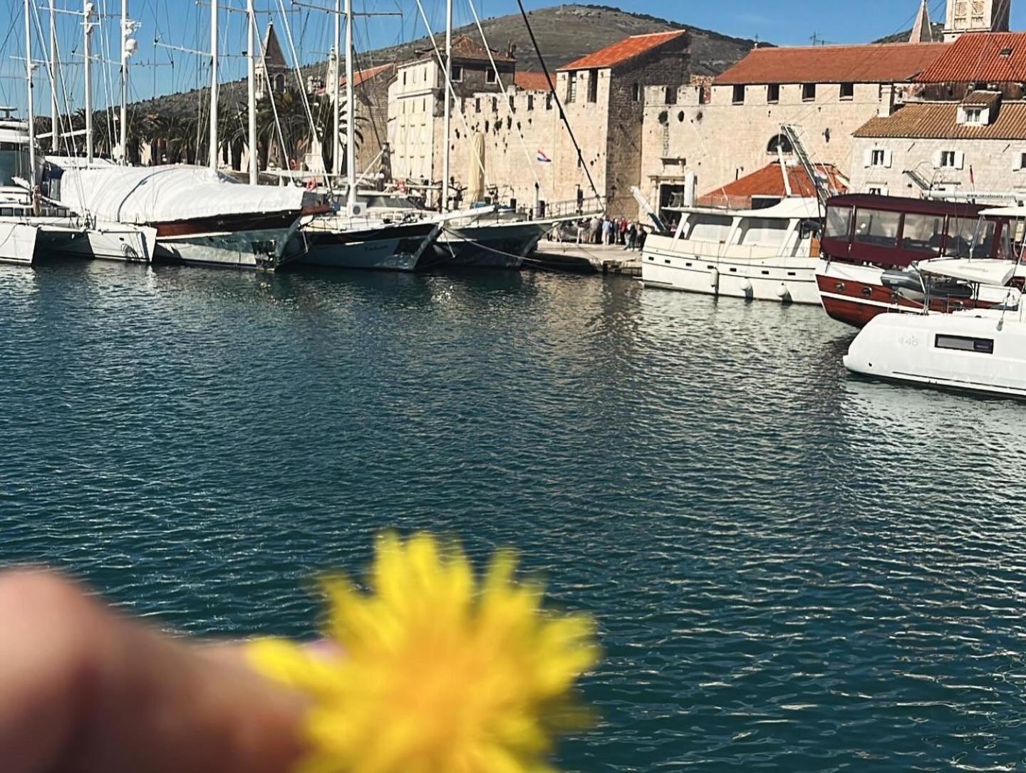 Mirella Trogir
